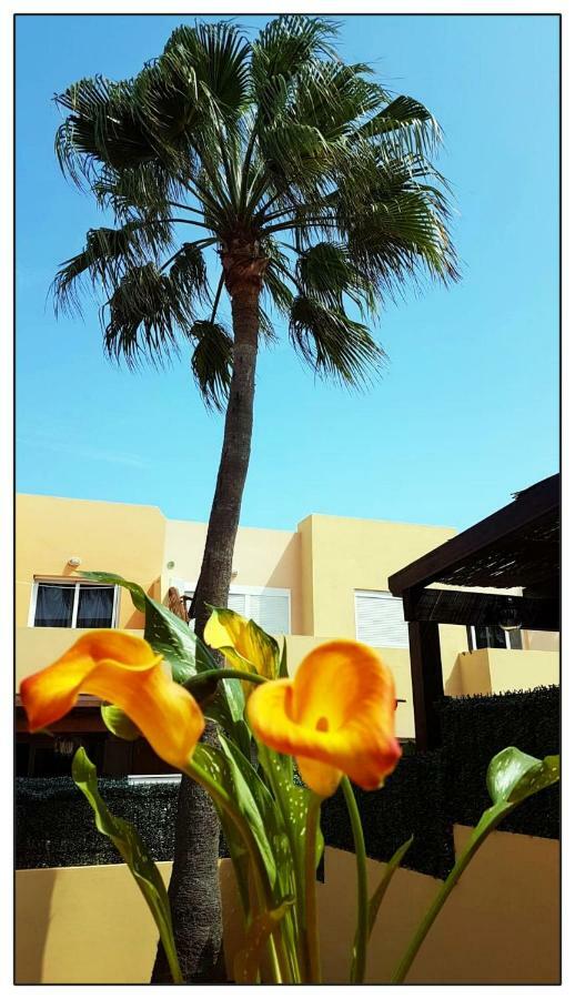 Lur De La Playa Apartment Corralejo Ngoại thất bức ảnh