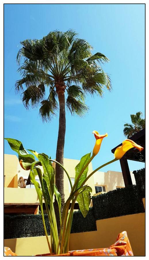 Lur De La Playa Apartment Corralejo Ngoại thất bức ảnh